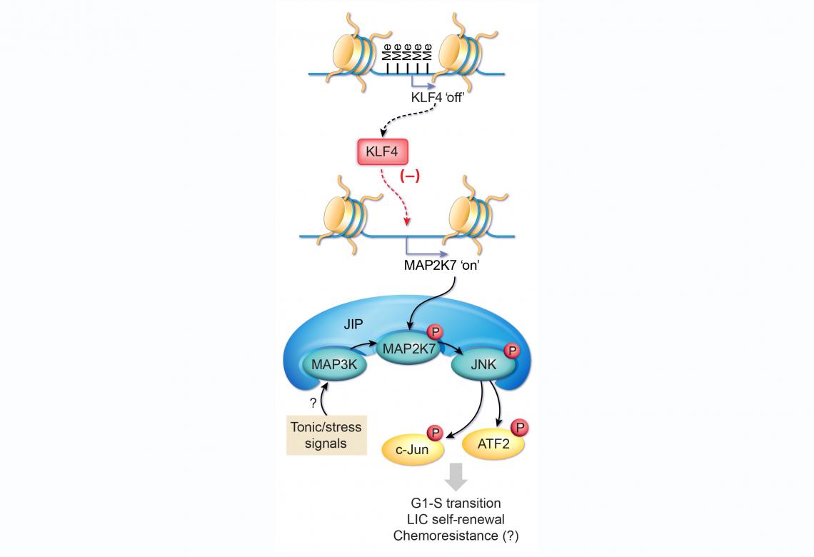 Figure 3a