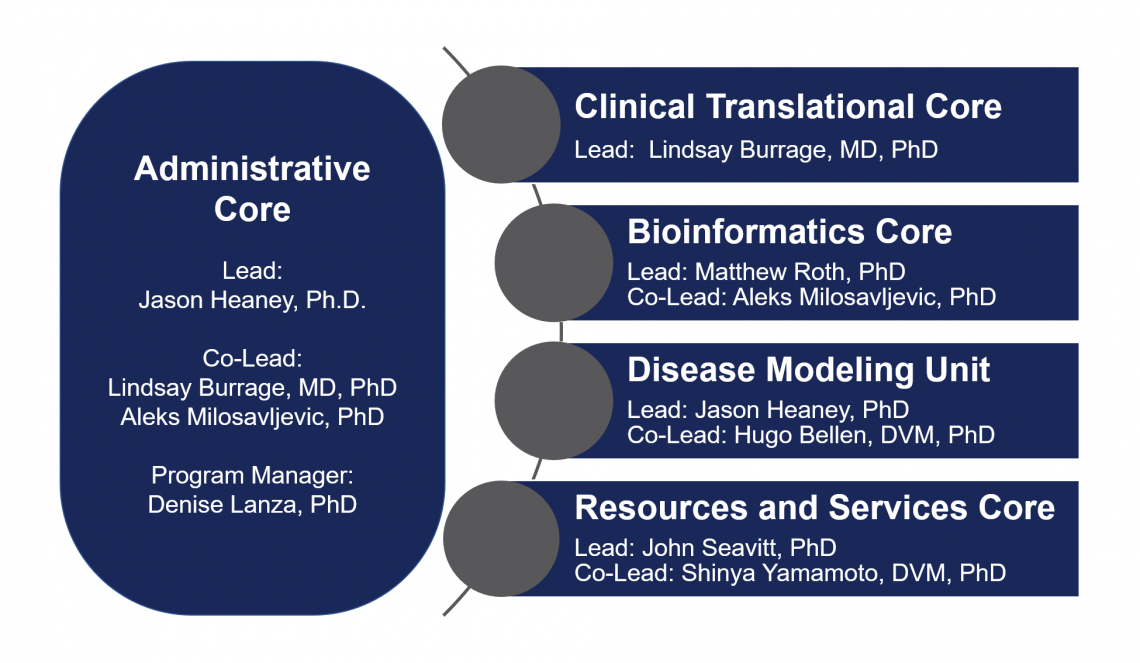 CPMM Core Model