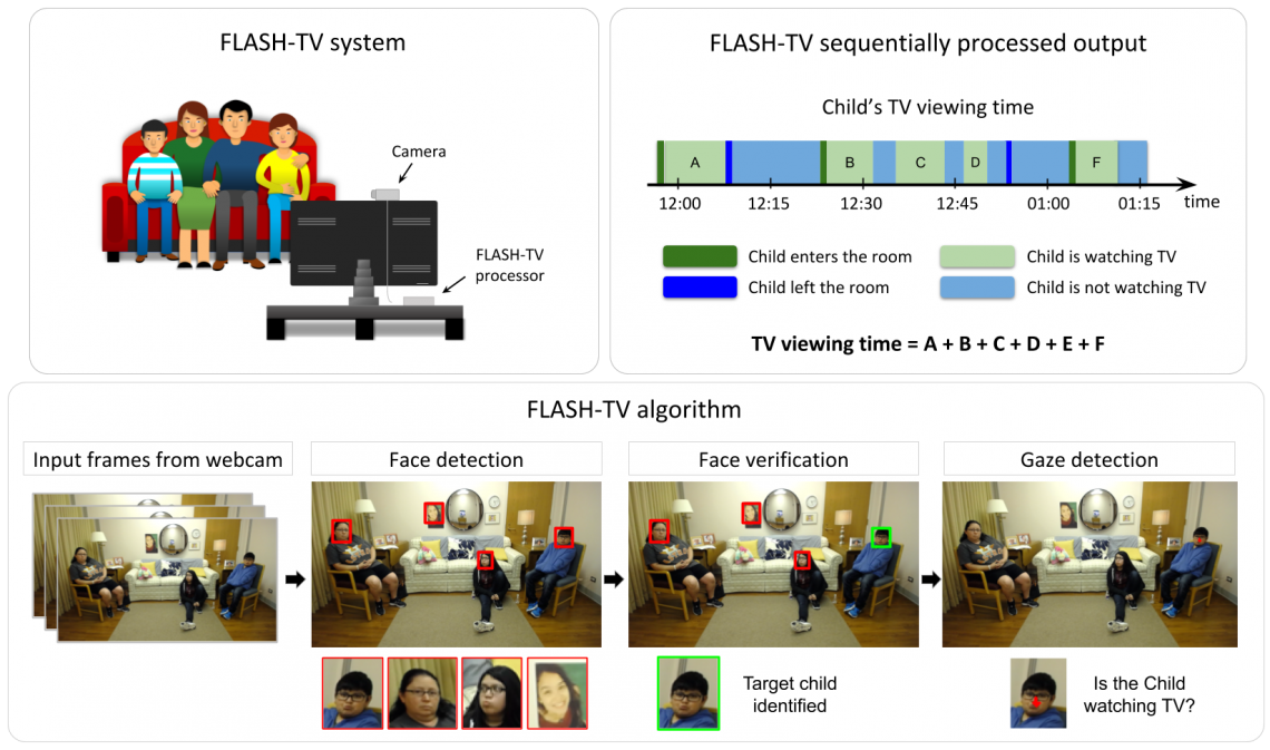 FLASH Project Image