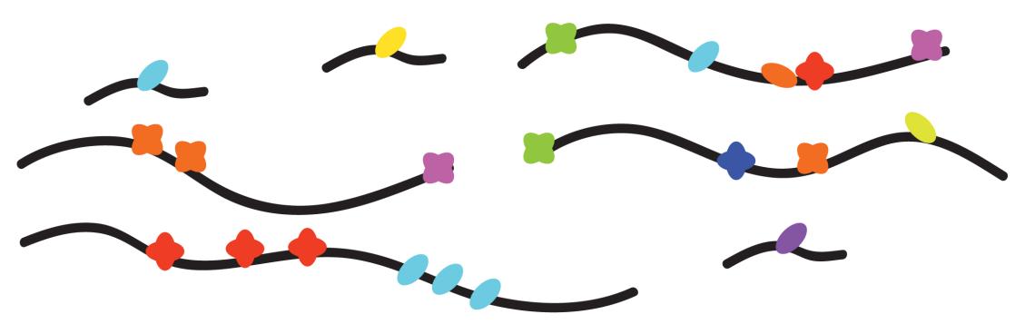 Methods to explore RNA processing