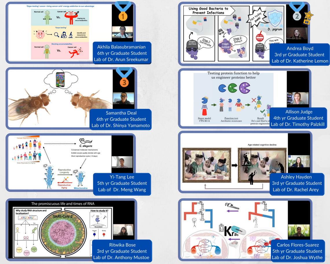 3MT Competition