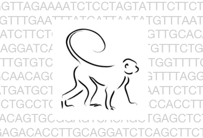 Macaque Genome Database