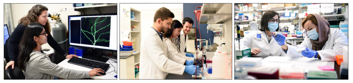 Postdoctoral Research Opportunities In Science | BCM