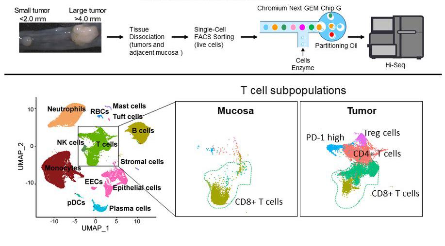 Unbiased Single-Cell RNA Sequencing