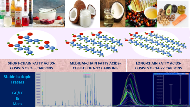 Mohammad Lab Research Illustration