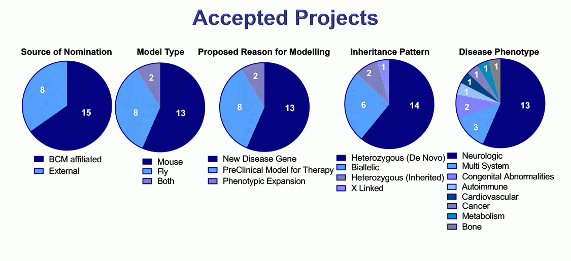 CPMM Accepted Projects Feb 2023 Pie charts of Projects by Model Type, Inheritance Pattern, Proposed Reason for Modeling, Source of Nomination, and Disease Phenotype