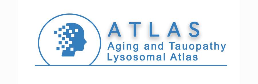 Logo for ATLAS - Aging and Tauopathy Lysosomal Atlas