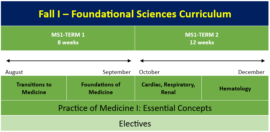 Breathing patterns  Medical school essentials, Medical school inspiration,  Nursing school notes