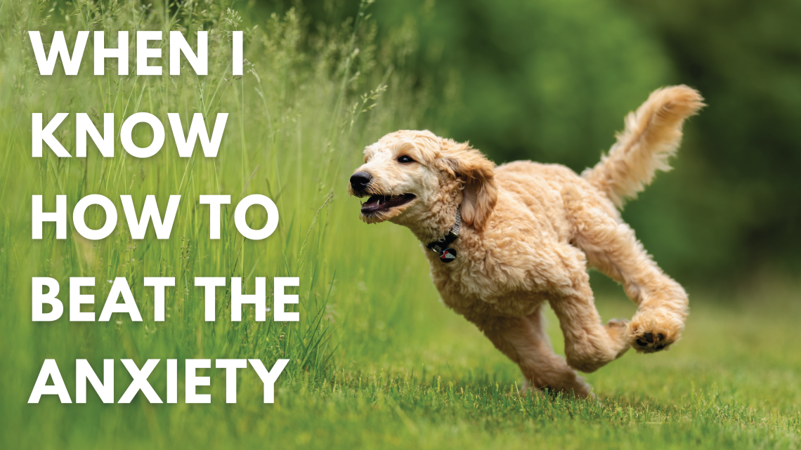 A fluffy blonde dog is happily running on the grass next to the words "When I know how to beat the anxiety"