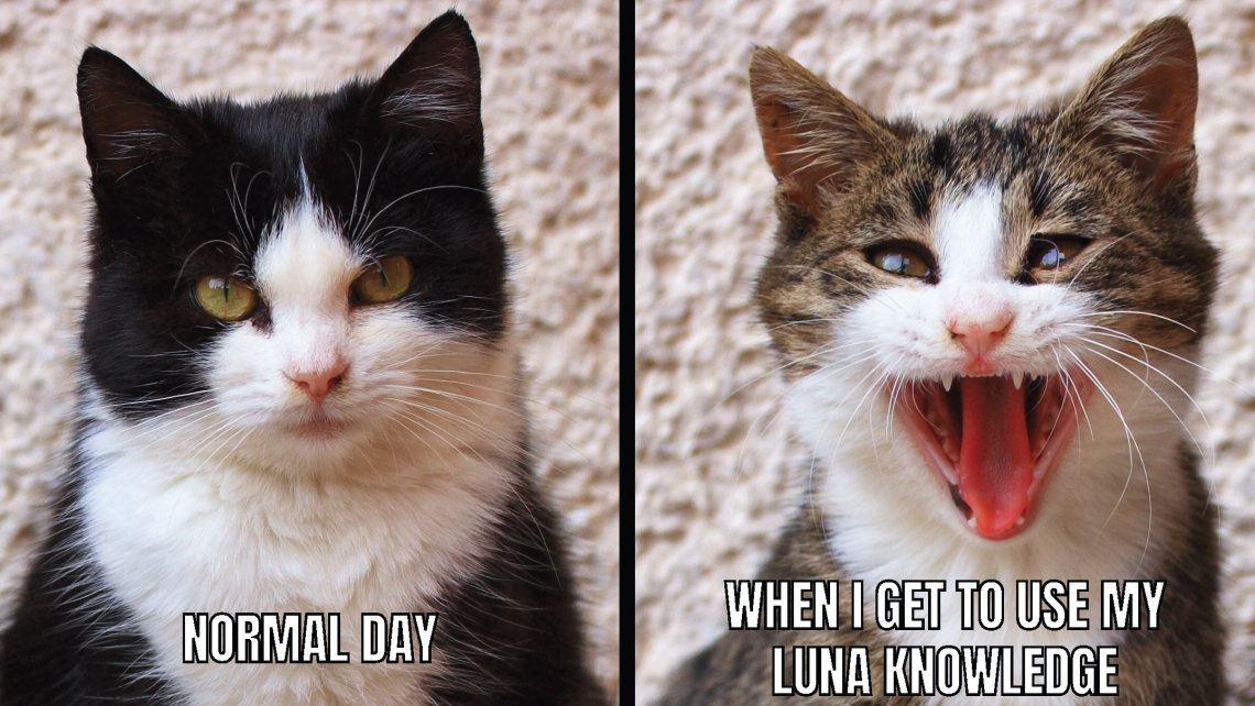 On the left there's a cat with a neutral expression above the words "normal day" and on the right there's a cat with a smile above the words "when I get to use my LUNA knowledge" 