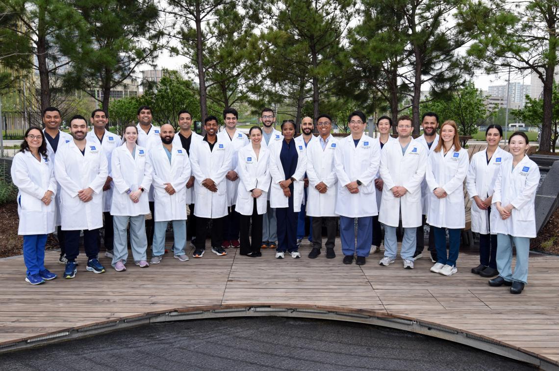 Group of fellows