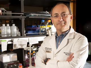 Matthew Ellis, M.D., Ph.D.