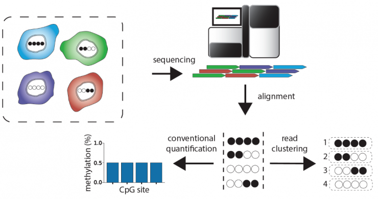Rationale for detecting cell type-specific methylation patterns in WGBS data 
