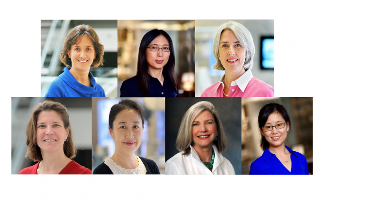 Women scientists at Baylor College of Medicine were profiled in the From the Labs blog during Women's History Month 2019.