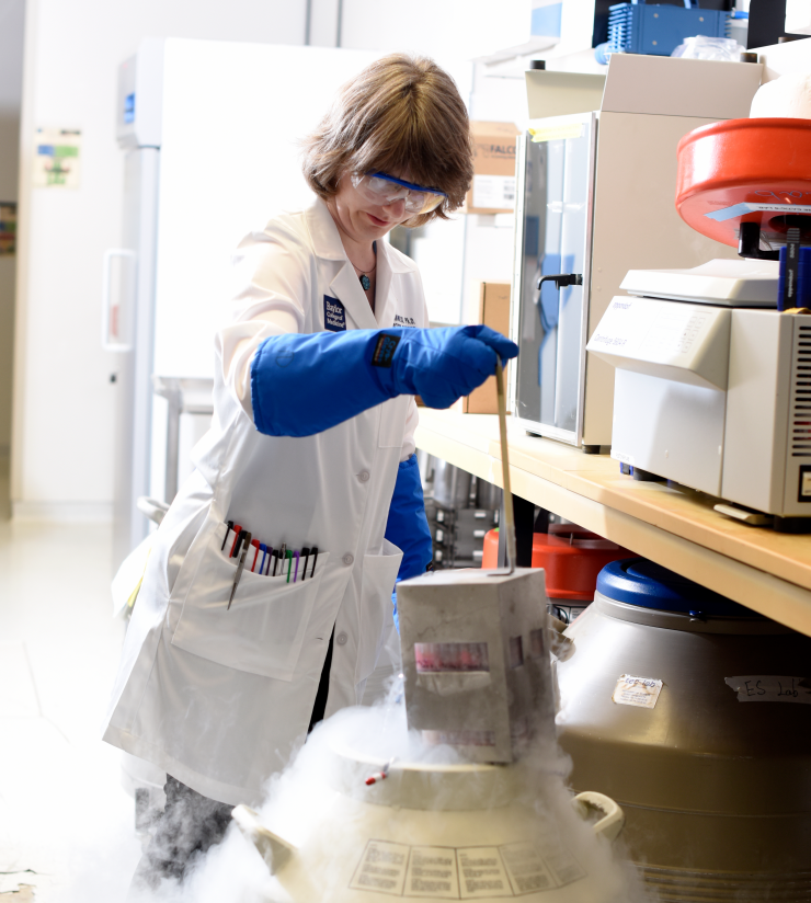 Laure Maneix, Ph.D. Laure Maneix, Ph.D.