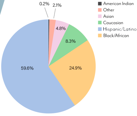 Pie chart of patient demographic breakdown at Ben Taub Hospital