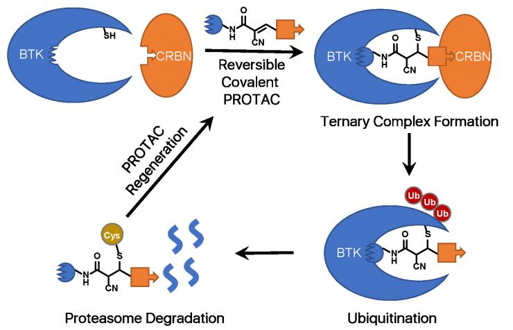 Enhancing Intracellular Accumulation and Target Engagement of Proteolysis Targeting Chimeras (PROTACs)