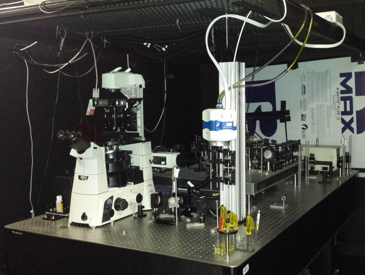 Optical Tweezers
