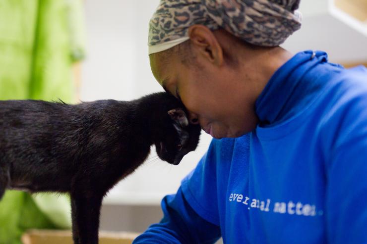 Friends for Life animal shelter Friends for Life animal shelter