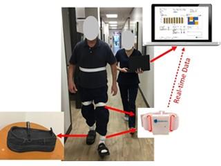 Impact of Diabetic Foot Ulcers and Offloading Footwear on Gait