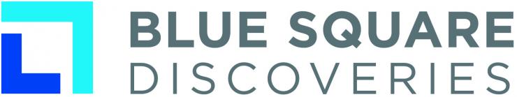 Blue Square Discoveries Logo