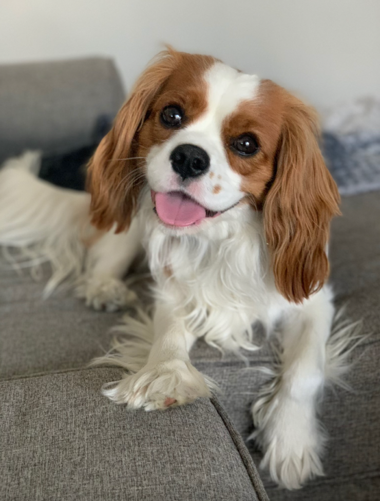 Duke PAL of the month June 2021