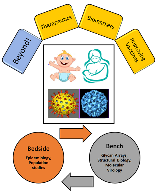 Bioactive factors in breast milk and neonatal gut health