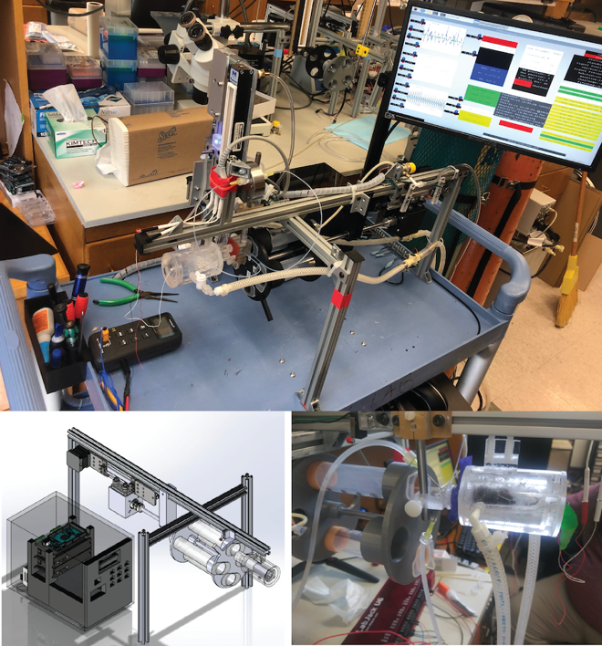 A Closed Loop Feature Detection Platform for Automated Neonate Cardio-Respiratory Measurements A Closed Loop Feature Detection Platform for Automated Neonate Cardio-Respiratory Measurements