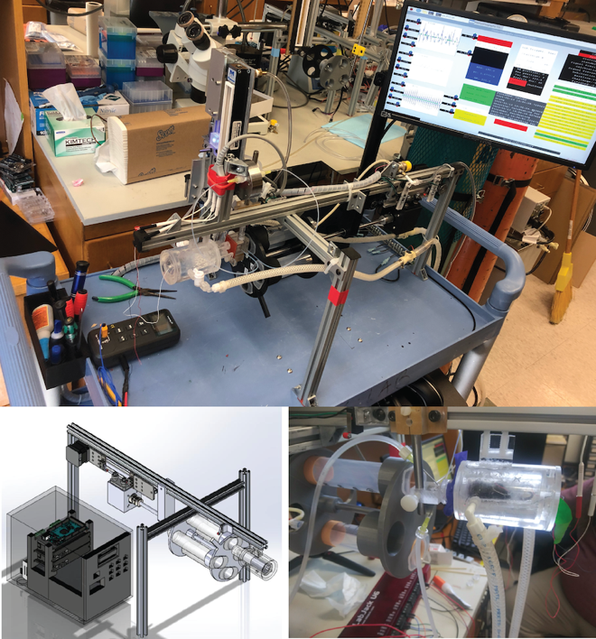 A Closed Loop Feature Detection Platform for Automated Neonate Cardio-Respiratory Measurements