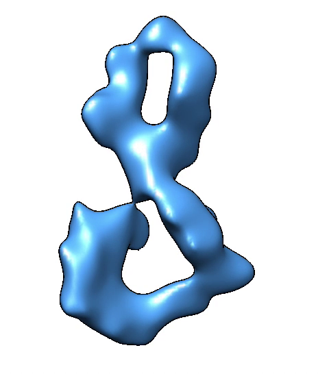 Image of a double helix looped