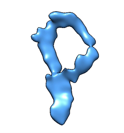 An illustration of one of the many possible shapes a supercoiled, looped DNA can form 