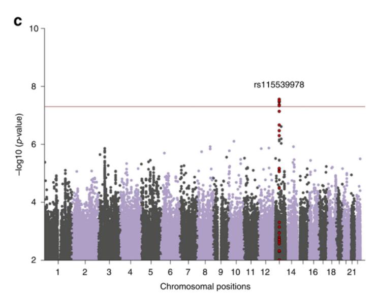 Atkinson Lab Projects