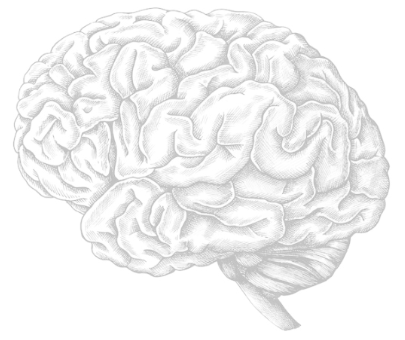 Deep Brains Simulation Workshop 2022