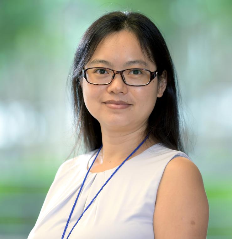 Chunmei Wang Chunmei Wang
