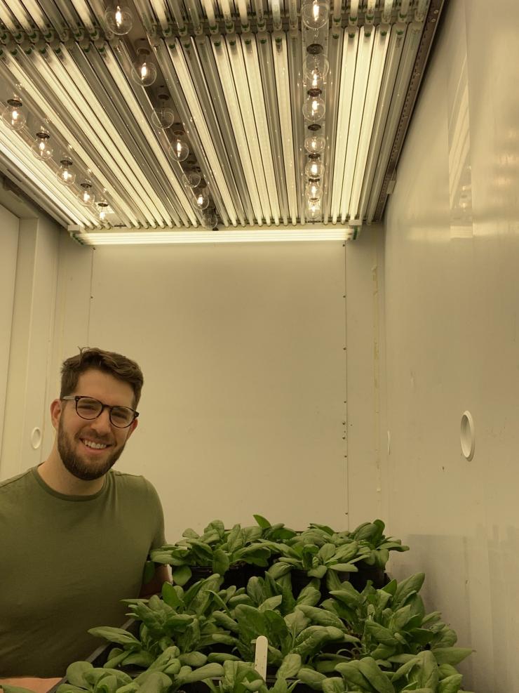 Michael.Dzakovich in the plant lab.