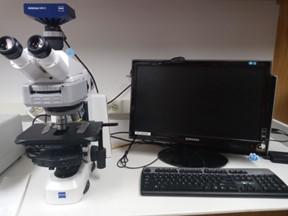 Confocal microscope and patch-clamp