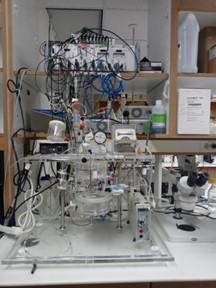 a perfusion system for isolated rodent hearts 