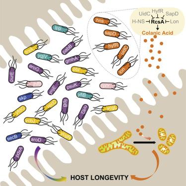 Photo of Herman Lab Host Longevity