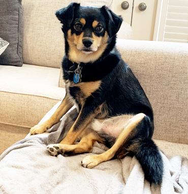 Photo of the September PAL of the month, Parker