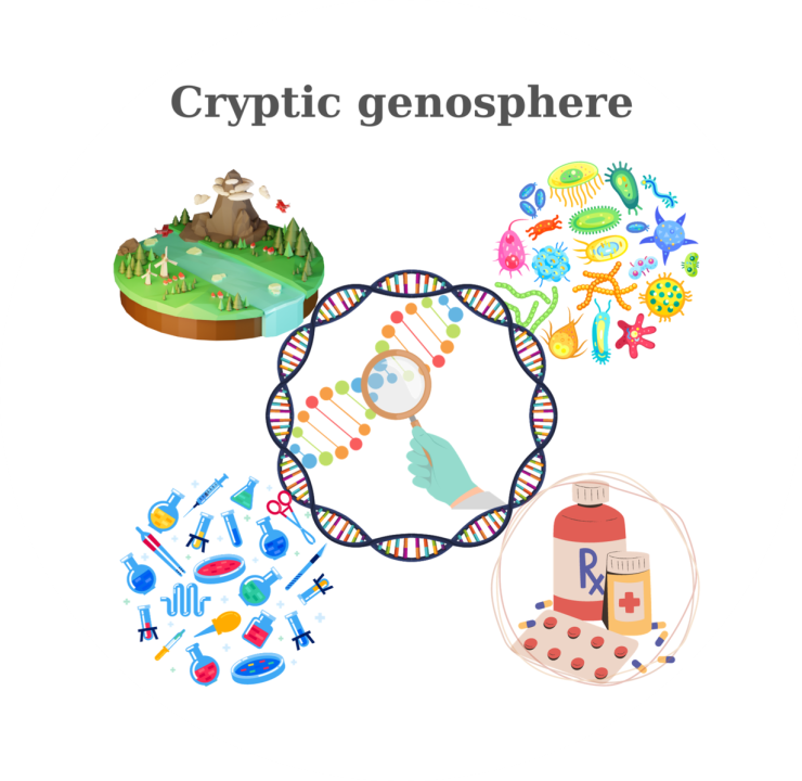 Illustration showing the Cryptic Genosphere