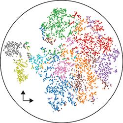 illustration of single cell genomics