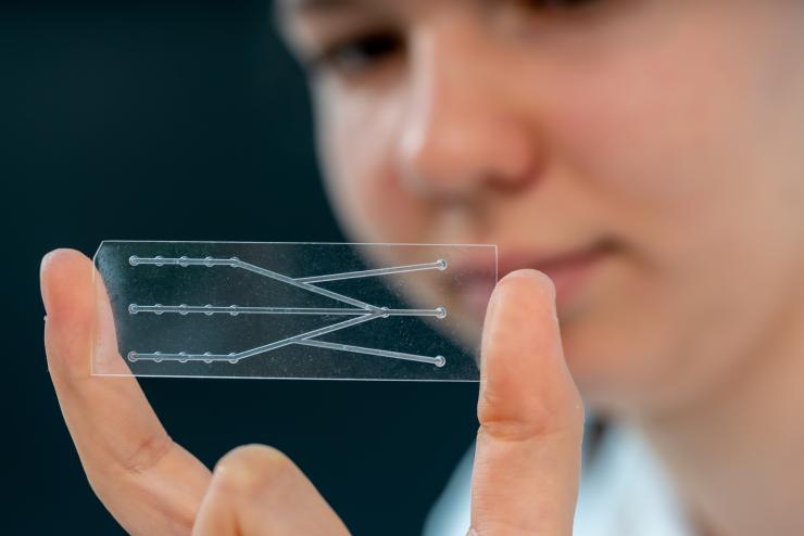 Tissue Chip