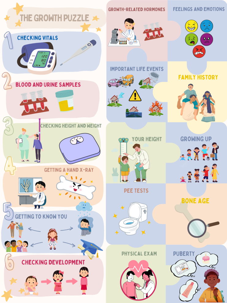 A colorful puzzle-themed graphic showing key steps in child growth assessment—vitals, samples, height/weight, X-ray, development, and personal history—designed for educational use.
