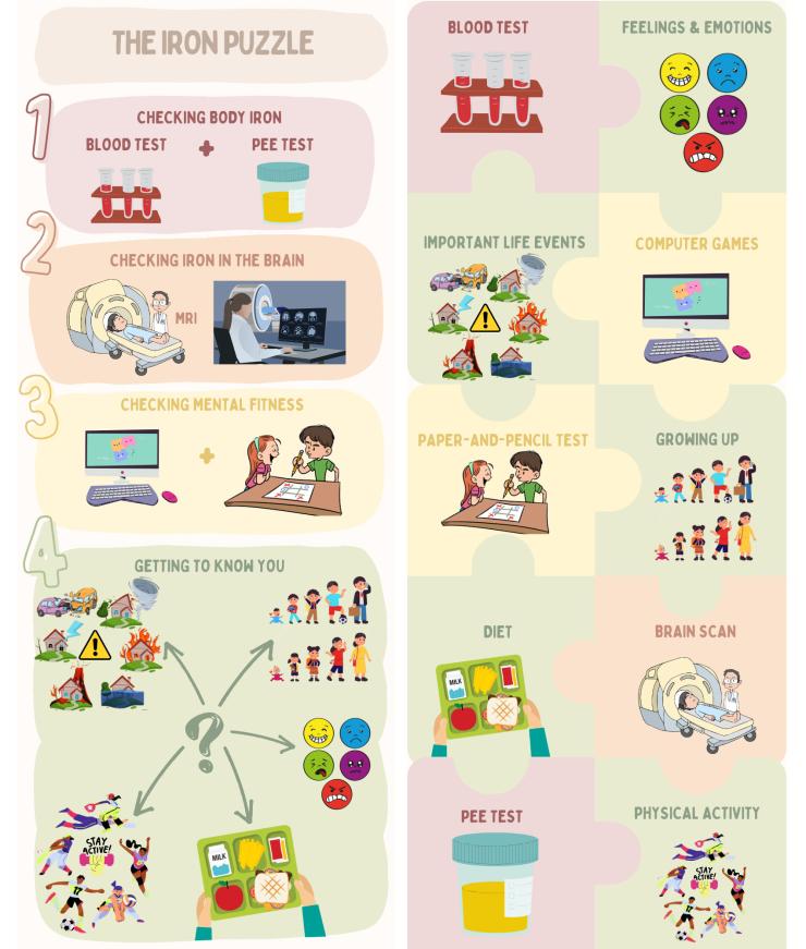 Infographic titled "The Iron Puzzle" showing how iron levels are assessed in the body and brain, alongside mental fitness tests and lifestyle factors.