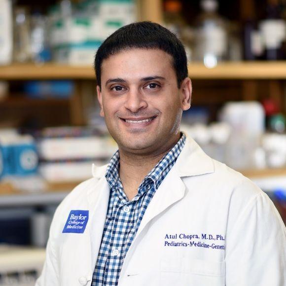 Dr. Atul Chopra, assistant professor of molecular and human genetics and molecular and cellular biology at Baylor College of Medicine.