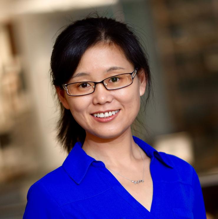 Dr. Meng Wang, associate professor in the Huffington Center on Aging and the department of human and molecular genetics at Baylor College of Medicine.