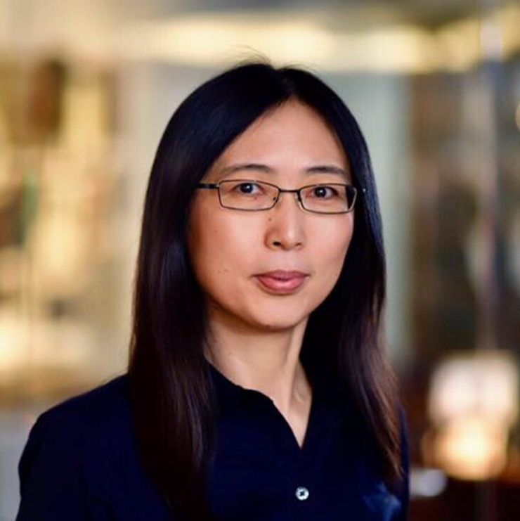 Dr. Chonghui Cheng, associate professor at the Lester and Sue Smith Breast Center, of molecular and human genetics and of molecular and cellular biology at Baylor College of Medicine