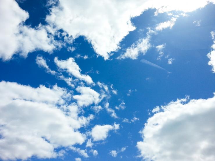 "The sun is the No. 1 culprit in skin cancer," said Dr. Ida Orengo, professor of dermatology at Baylor College of Medicine.