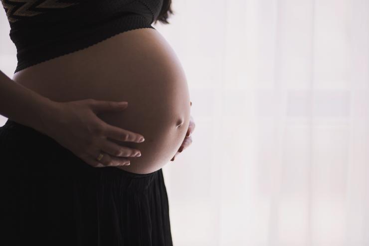 Maternal high-fat diet during pregnancy can affect baby’s gut microbes