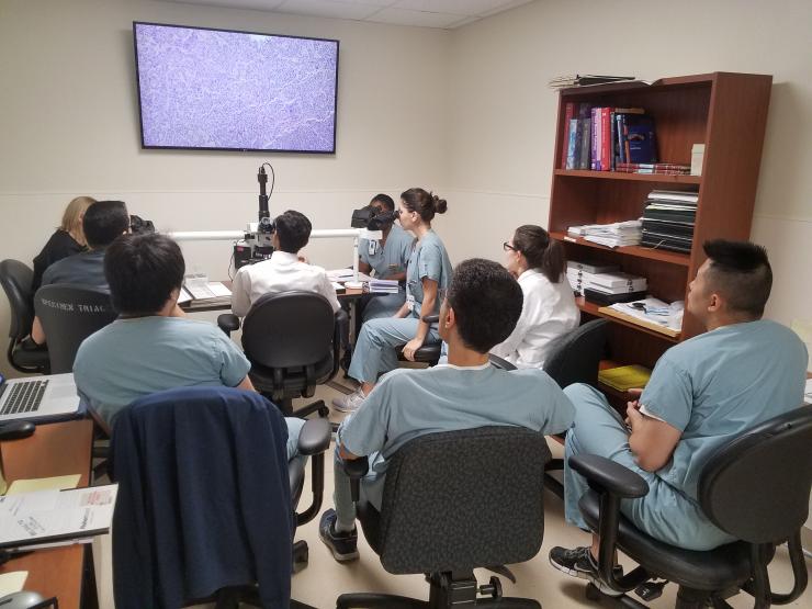 Pathology residents attend the Interesting Case Conference at Ben Taub Hospital.